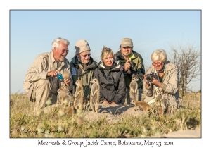 Meerkats & Group