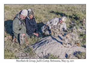 Meerkats & Group