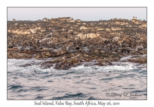 Seal Island