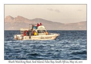 Shark Watching Boat