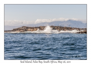 Seal Island