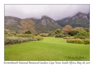 Kirstenbosch National Botanical Garden