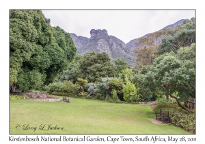 Kirstenbosch National Botanical Garden