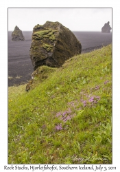 Rock Stacks