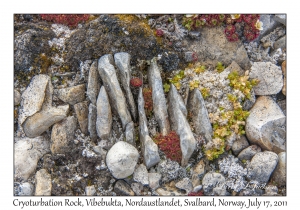 2011-07-17#4043 Cryoturbation & Plants, Vibebukta, Nordaustlandet, Svalbard