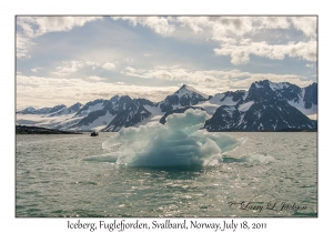2011-07-18#4153 Iceberg, Fuglefjorden, Svalbard, Norway