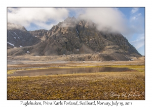 2011-07-19#4296 Fuglehuken, Prins Karls Forland, Svalbard