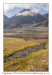 2011-07-19#4302 Fuglehuken, Prins Karls Forland, Svalbard