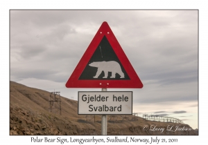 2011-07-21#4508 Polar Bear Sign, Longyear, Svalbard
