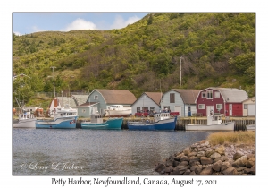 Petty Harbor