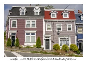 Colorful Houses