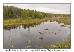 Alaska Railroad Scene