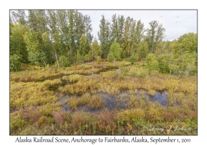 Alaska Railroad Scene