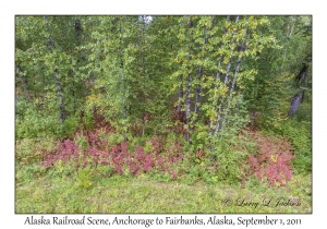 Alaska Railroad Scene