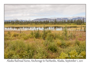 Alaska Railroad Scene