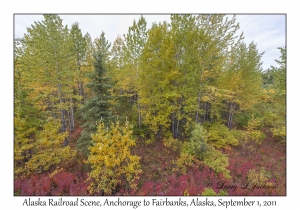 Alaska Railroad Scene