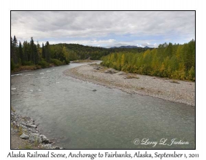 Alaska Railroad Scene