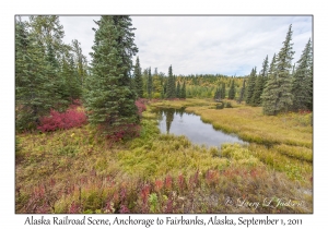 Alaska Railroad Scene