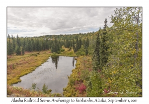 Alaska Railroad Scene