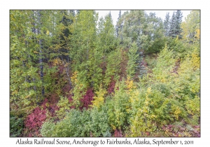 Alaska Railroad Scene