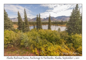 Alaska Railroad Scene