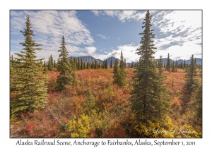 Alaska Railroad Scene