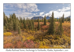 Alaska Railroad Scene