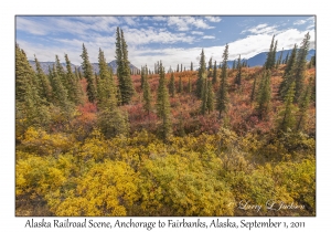 Alaska Railroad Scene