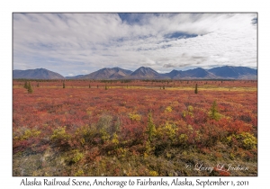 Alaska Railroad Scene