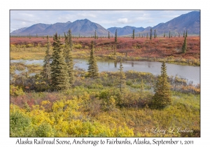 Alaska Railroad Scene