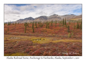 Alaska Railroad Scene