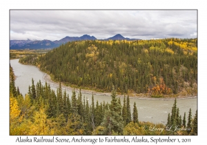 Alaska Railroad Scene