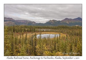 Alaska Railroad Scene