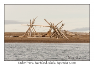 Shelter Frame