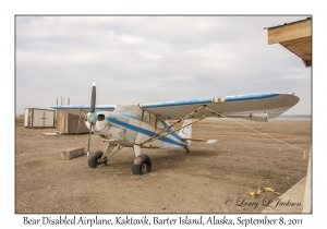 Bear disabled plane