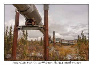 Trans-Alaska Pipeline