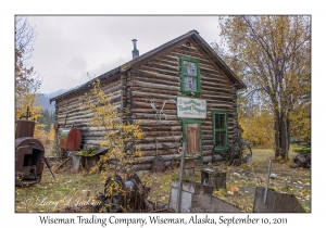 Wiseman Trading Company