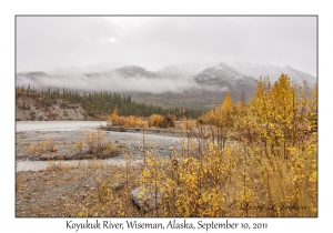 Koyukuk River