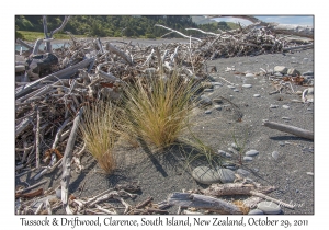 Tussock & Driftwood