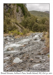 Broad Stream Trail