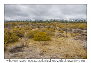 Wilderness Reserve Te Anau