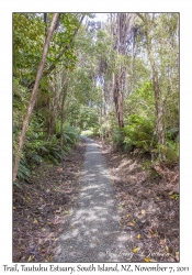 Trail view