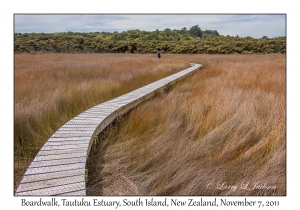 Boardwalk