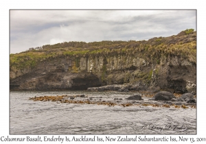 Columnar Basalt