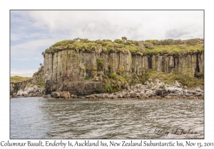 Columnar Basalt