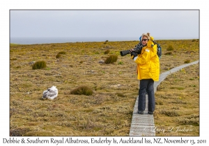 Debbie & Southern Royal Albatross