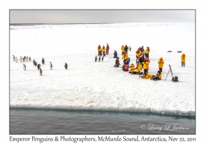 Emperor Penguins & Photographers