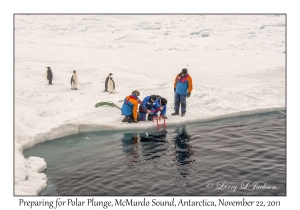 Emperor Penguins & Polar Plunge Setup