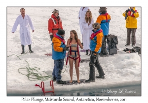 Polar Plunge