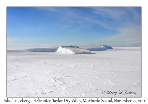 Tabular Icebergs